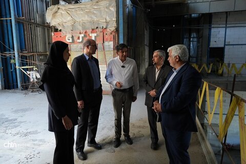 بازدیدمیدانی  مدیرکل میراث فرهنگی گردشگری و صنایع دستی خراسان رضوی به همراه شهردار منطقه ثامن از روند مرمت خانه های تاریخی مشهد