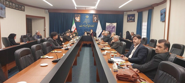 تصویب اجرای پویش «بافت جمعی فرش پرچم ایران» در میدان تجریش