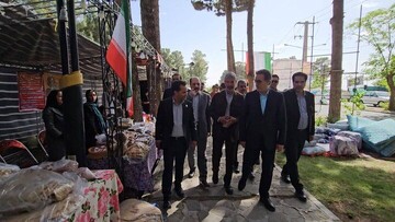جشنواره‌ تاک پلو در تقویت تاب‌آوری و شادابی جامعه نقش محوری دارد
