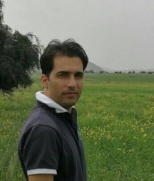 جغد ماهی‌خوار در پامنار دیده شد؛ تأکید پرنده‌نگران بر اهمیت حفاظت از زیستگاه‌ها