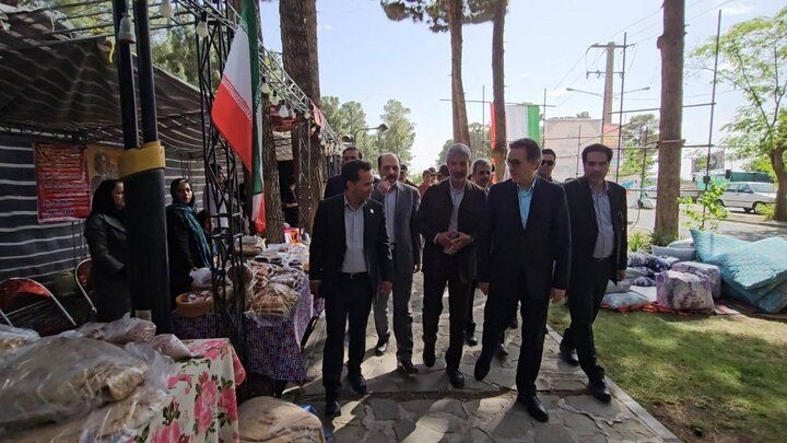 جشنواره‌ تاک پلو در تقویت تاب‌آوری و شادابی جامعه نقش محوری دارد