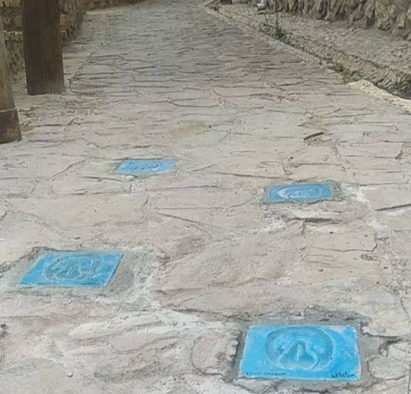 نقش بستن ردپای حیات‌وحش در مسیر گردشگری قلعه بالا، هنری برای پیوند انسان و طبیعت