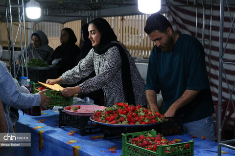 جشنواره توت فرنگی بهنمیر