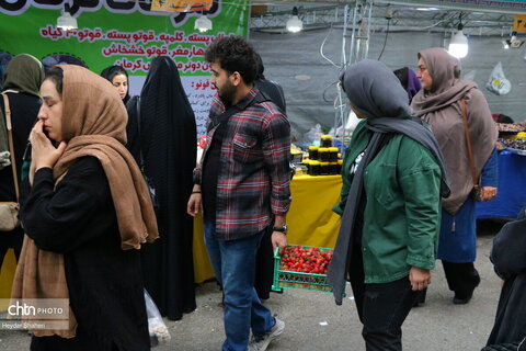 جشنواره توت فرنگی بهنمیر