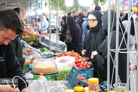 جشنواره توت فرنگی بهنمیر