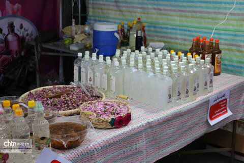 جشنواره توت فرنگی بهنمیر