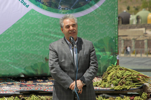 سفر معاون وزیر میراث‌فرهنگی به قم