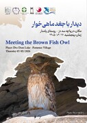 برگزاری گشت تخصصی پرنده‌نگری در روستای گردشگری پامنار استان خوزستان