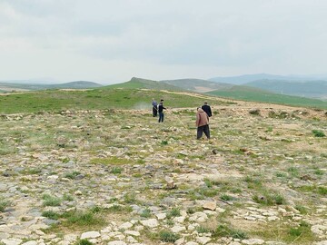 انجام عملیات سم‌پاشی در محوطه تپه تاریخی قلایچی بوکان