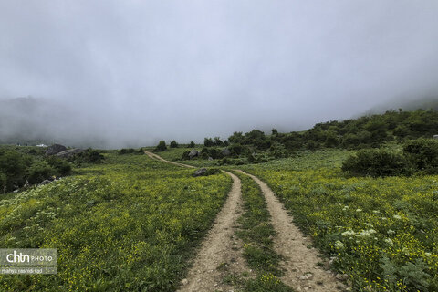 قله ارفع‌کوه در منطقه‌ای سرسبز و بکر از استان مازندران