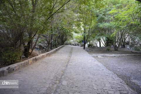 آبشار راین