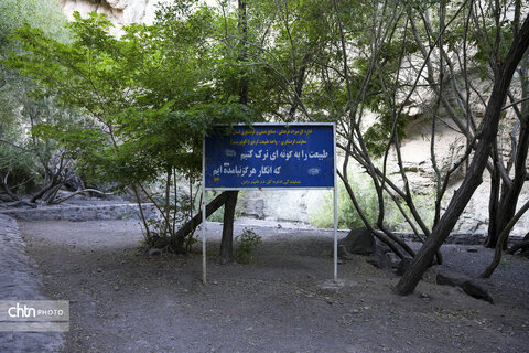 آبشار راین