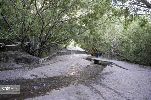 آبشار راین