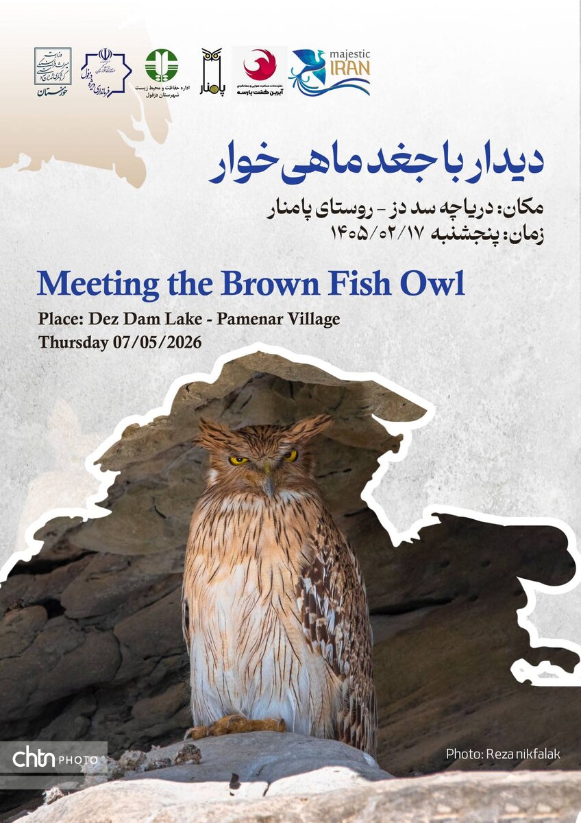 برگزاری گشت تخصصی پرنده‌نگری در روستای گردشگری پامنار استان خوزستان