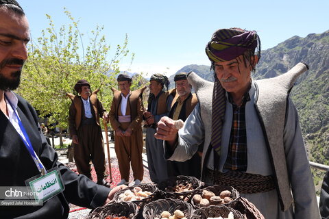 کومسای، نبض زندگی و گردشگری را بار دیگر در هورامان جاری کرد