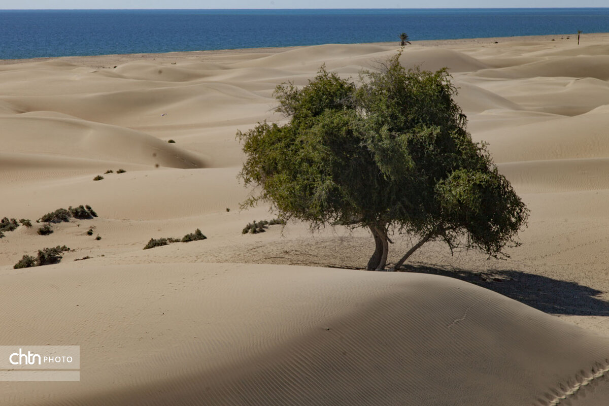 رمل‌های ساحلی زرآباد روستای دَرَک، حافظی طبیعی