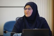 ثبت جهانی روستای گردشگری پامنار پیگیری می‌شود
