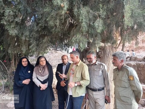 برگزاری آیین پاسداشت سرو کهنسال شادکام
