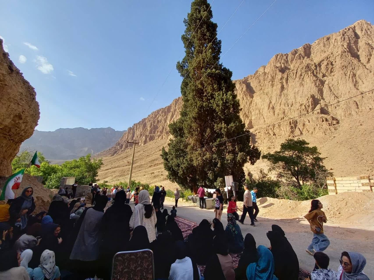 ایستاده بر تاریخ؛ برگزاری مراسم پاسداشت سرو کهنسال شادکام