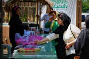 جشنواره گل محمدی در روستای الله رودبار بابل