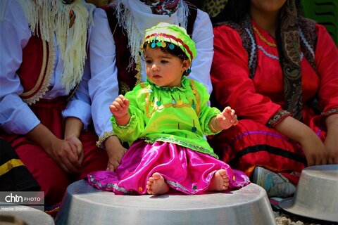 جشنواره گل محمدی در روستای الله رودبار بابل