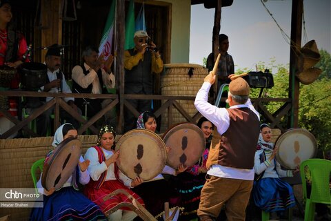 جشنواره گل محمدی در روستای الله رودبار بابل