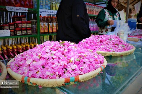 جشنواره گل محمدی در روستای الله رودبار بابل