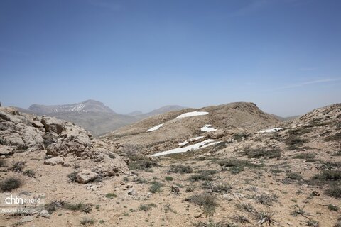 سپیدان