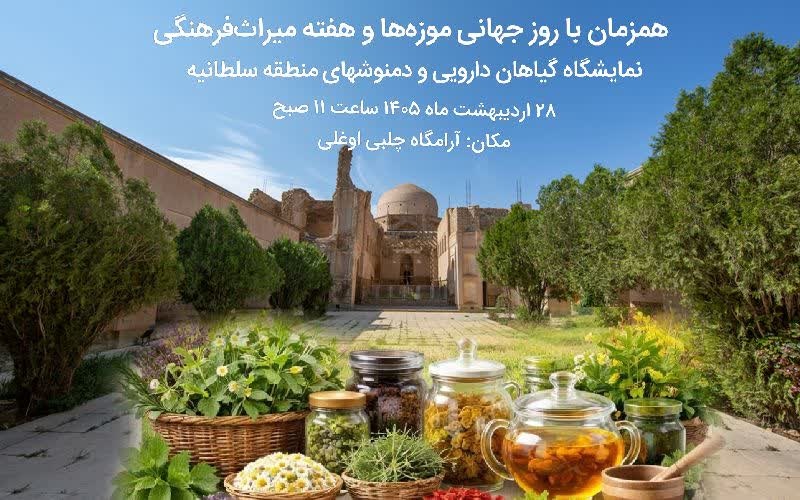 جشنواره دمنوش‌ و گیاهان دارویی در آرامگاه چلبی اوغلو شهرستان سلطانیه