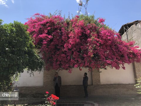 تور بازنشستگان