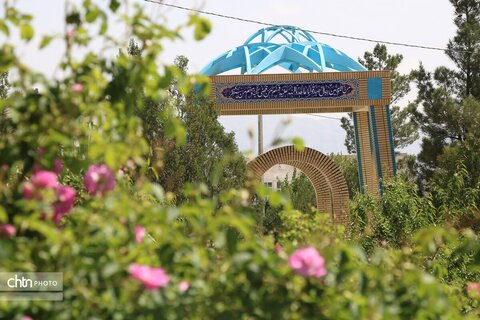تور تفریحی ـ توریستی برداشت گل‌محمدی ویژه کارکنان اداره‌کل میراث‌فرهنگی