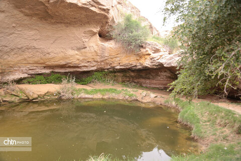 چشمه ها و آبشارهای استان بوشهر