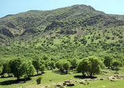 اعتبار ۵۰ میلیارد ریالی برای تکمیل زیرساخت‌های گردشگری شبان‌کاره روانسر 