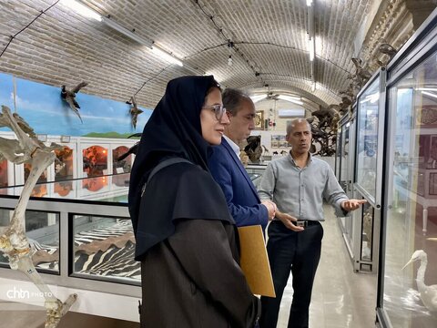 تجلیل از پاسداران هویت تاریخی یزد در روز جهانی موزه‌ها