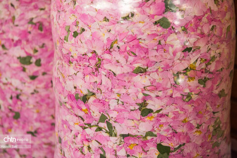 عطر گل محمدی در مسیر رونق اقتصاد محلی اصفهان