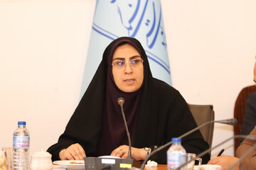 نقش سفیران فرهنگی و سرمایه‌گذاری بخش خصوصی در پویایی میراث‌فرهنگی خراسان شمالی