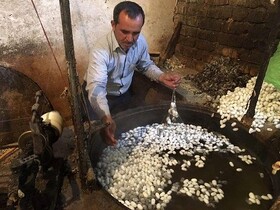 آشنایی بامیراثهای ناملموس بایگدر خراسان رضوی؛ فن ابریشم کشی سنتی - فن تهیه حلواجوزی