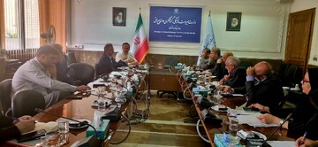 تشکیل کمیته تخصصی تدوین ضوابط «دهکده‌های سلامت» و «خدمات نوین درمانی»