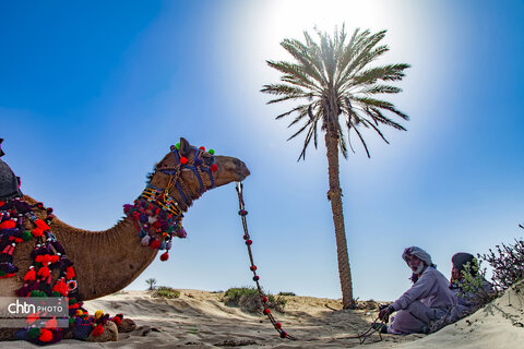 درک