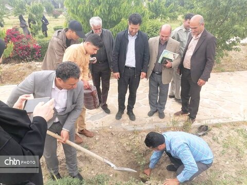 درختکاری