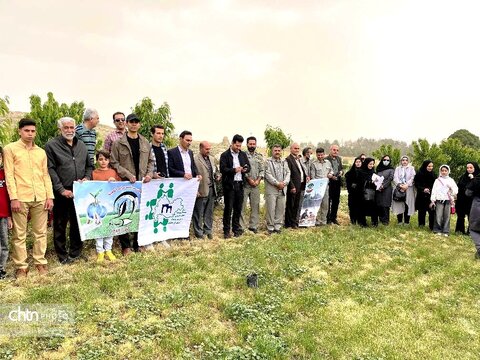 درختکاری