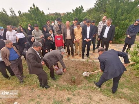 درختکاری