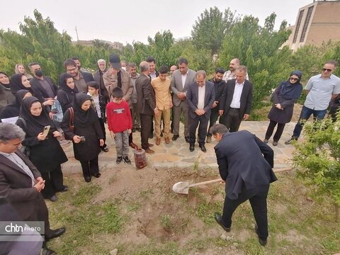 درختکاری