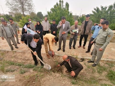 درختکاری