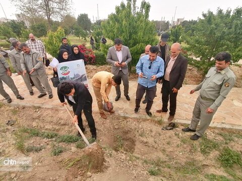درختکاری