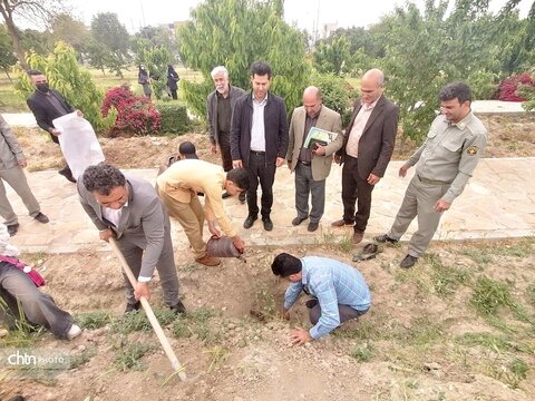 درختکاری