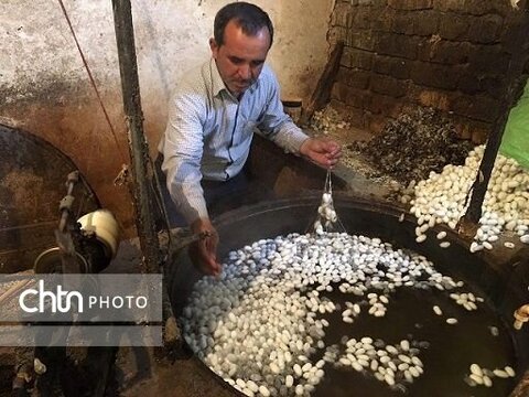 آشنایی بامیراثهای ناملموس بایگدر خراسان رضوی؛ فن ابریشم کشی سنتی - فن تهیه حلواجوزی