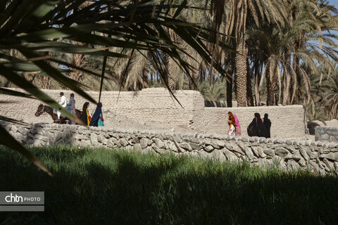 جالق