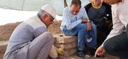 آغازبه‌کار جلسات «استاد و شاگرد» در میراث جهانی چغازنبیل و هفت‌تپه