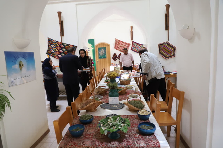 دمنوش و گیاهان دارویی سلطانیه